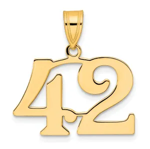 14k Yellow Gold Polished Finish Number 42 Charm Pendant