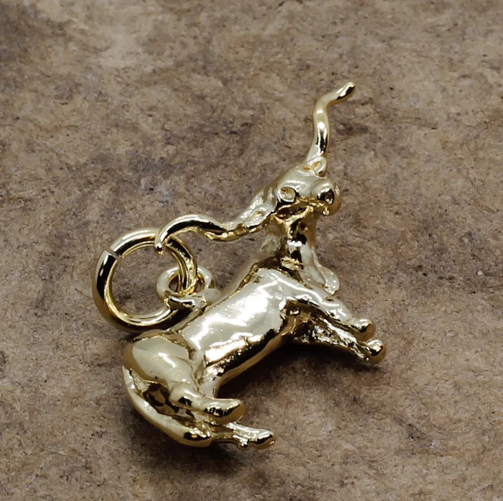 14kt Yellow Gold Vermeil Texas Longhorn Steer Charm