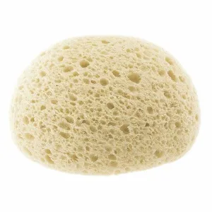 Chicco Extra-Absorbent Sponge (0 m )