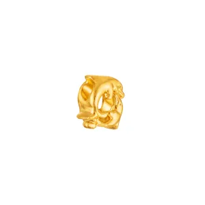 Dolphin Circle Charm