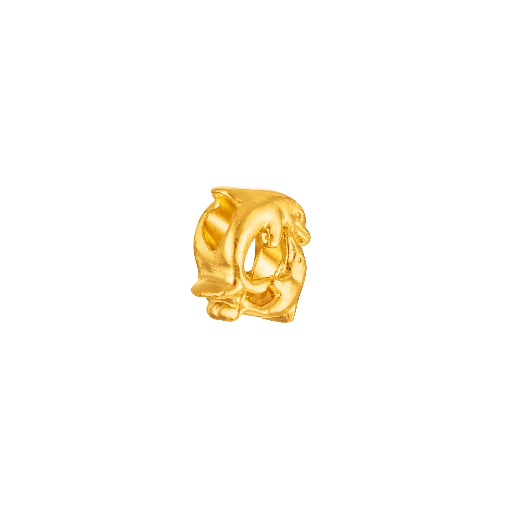 Dolphin Circle Charm