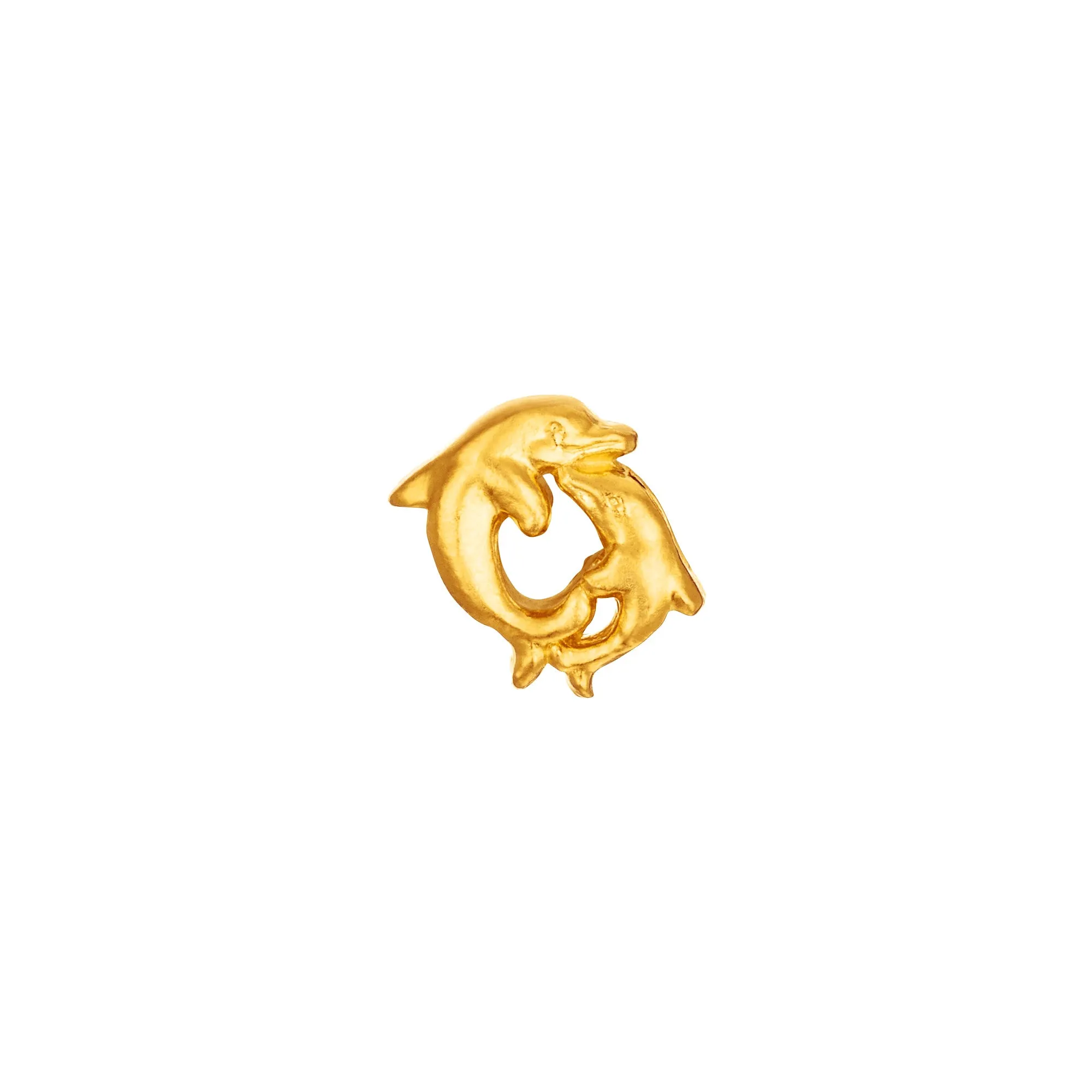 Dolphin Circle Charm