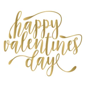 Happy Valentine's Day