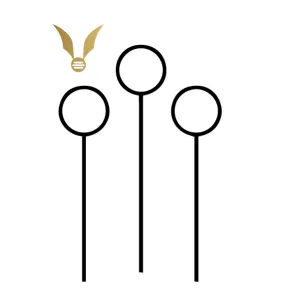 Harry Potter: Quidditch (Black & Gold)
