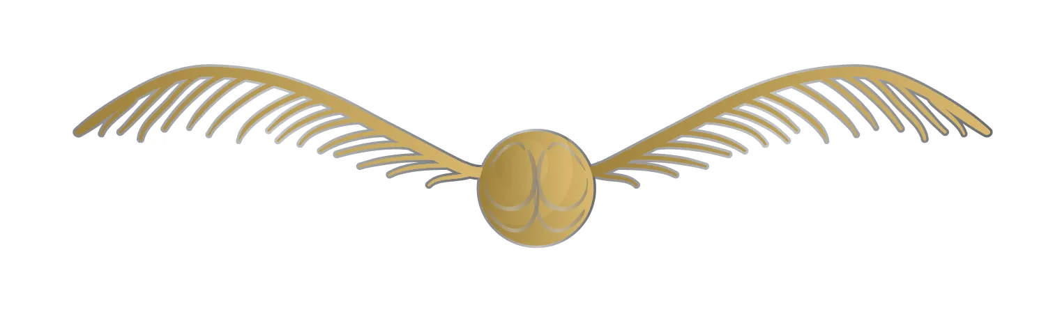 Harry Potter: the golden snitch (Gold & Silver)