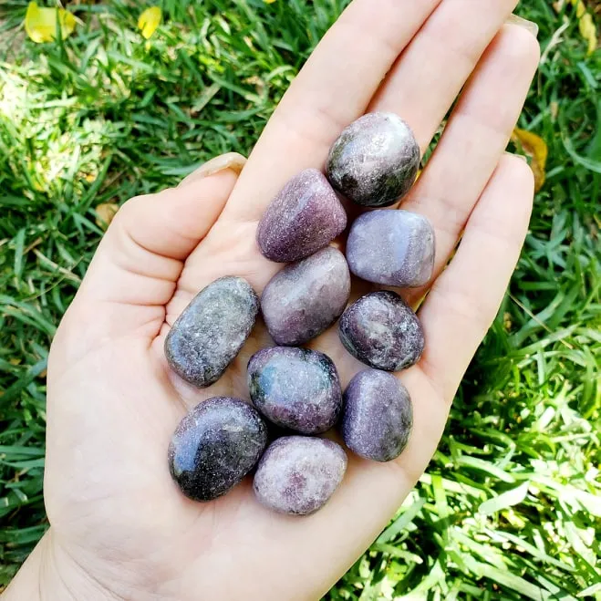 Lepidolite | 1 or 5 Pack | Tumbled | Hand Selected | Anxiety Relief, Peace, & Calm