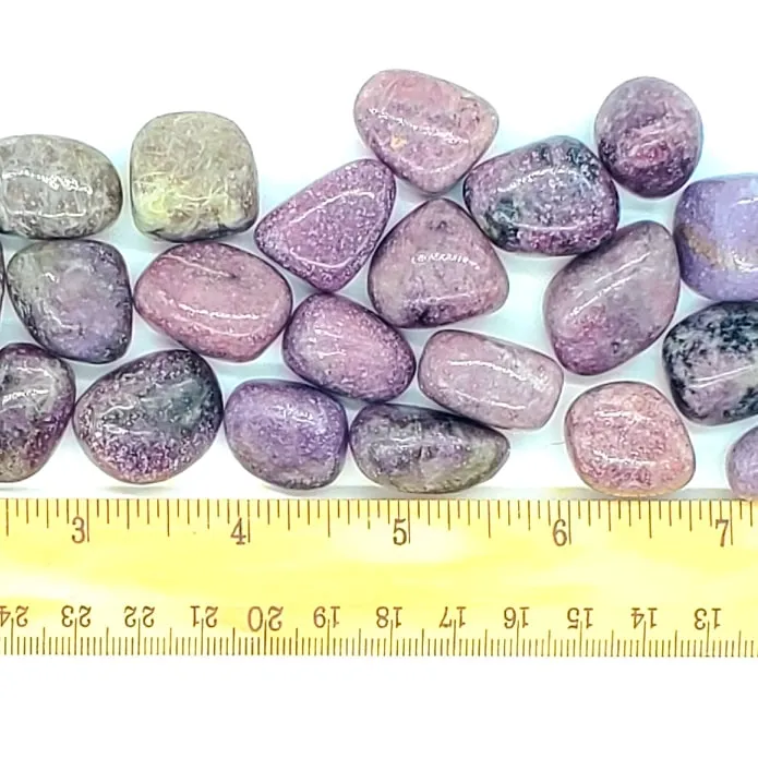 Lepidolite | 1 or 5 Pack | Tumbled | Hand Selected | Anxiety Relief, Peace, & Calm