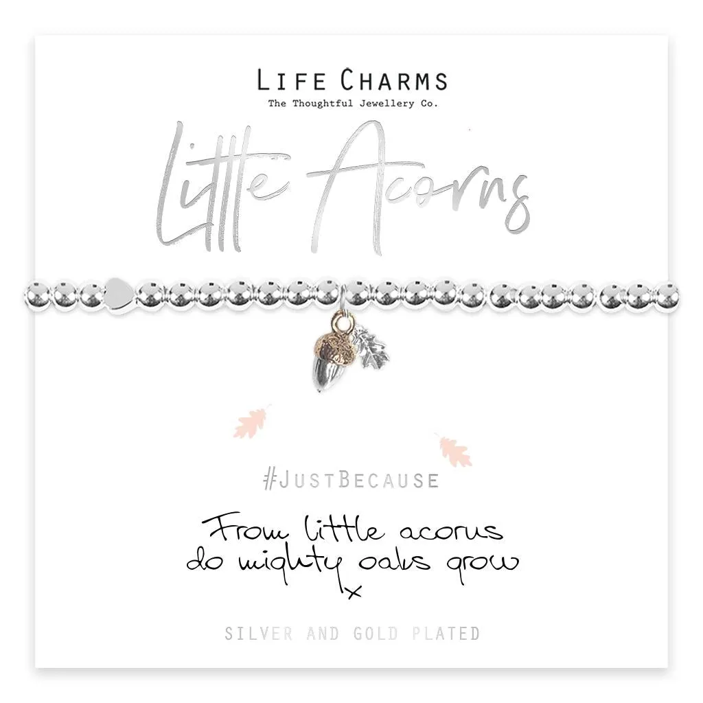 Life Charms From little acorns bracelet