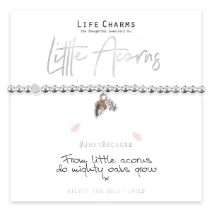 Life Charms From little acorns bracelet