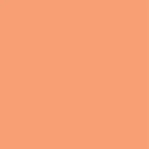 Matte/Gloss  Duo Sided - Peach