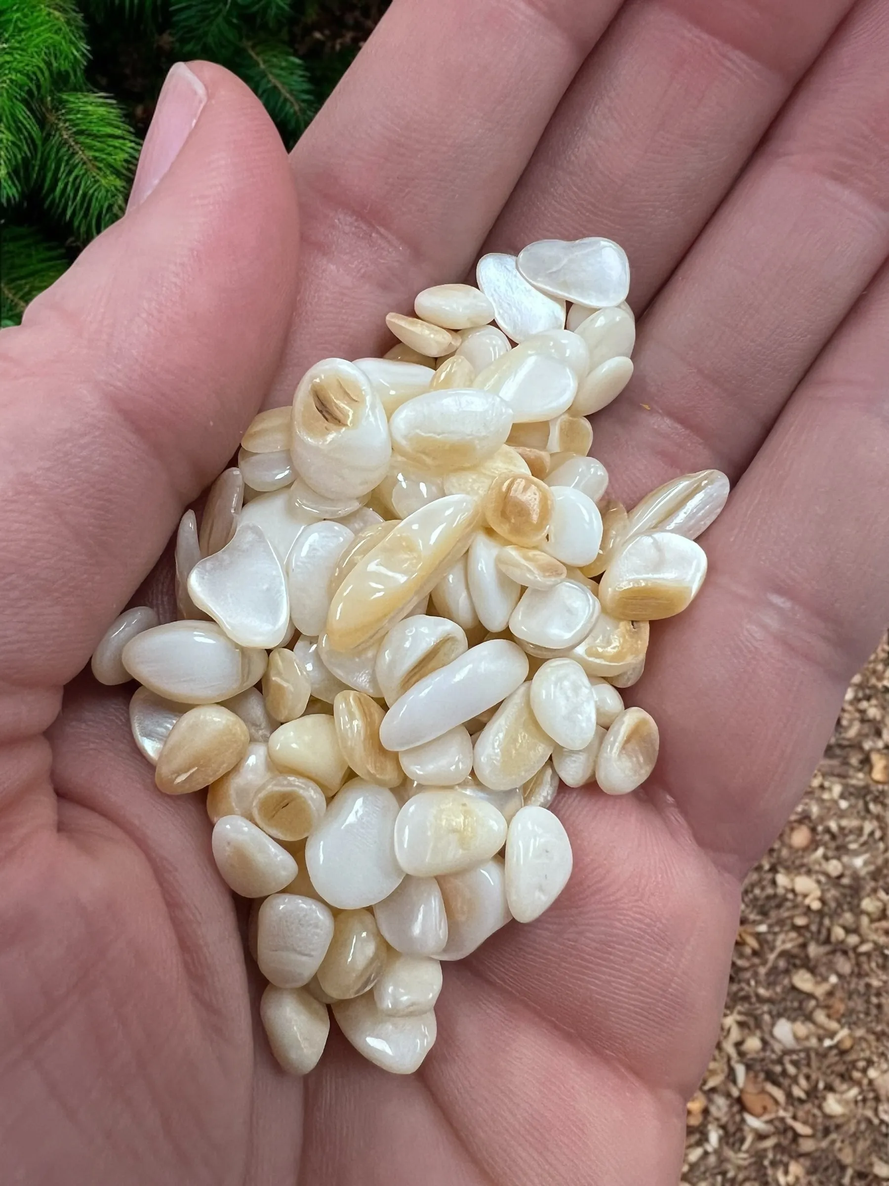 Mother of Pearl Gemstone Chips