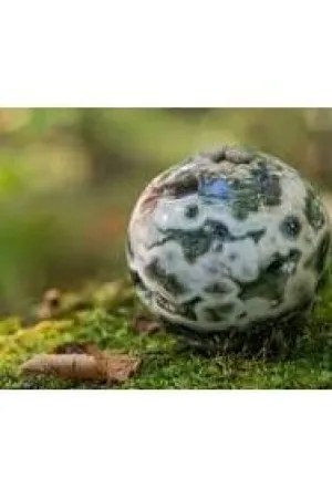 Ocean Jasper
