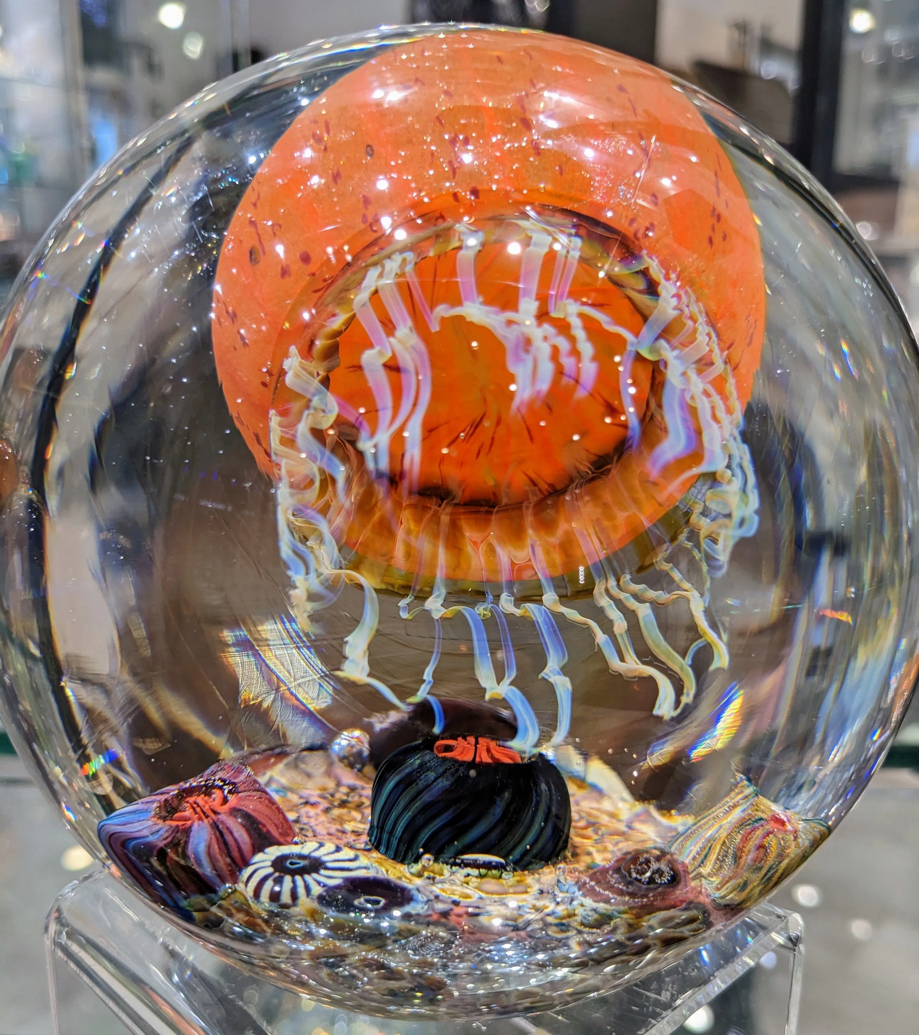 Pacific Coast SIDE SWIMMER SATAVA JELLYFISH 4.5"