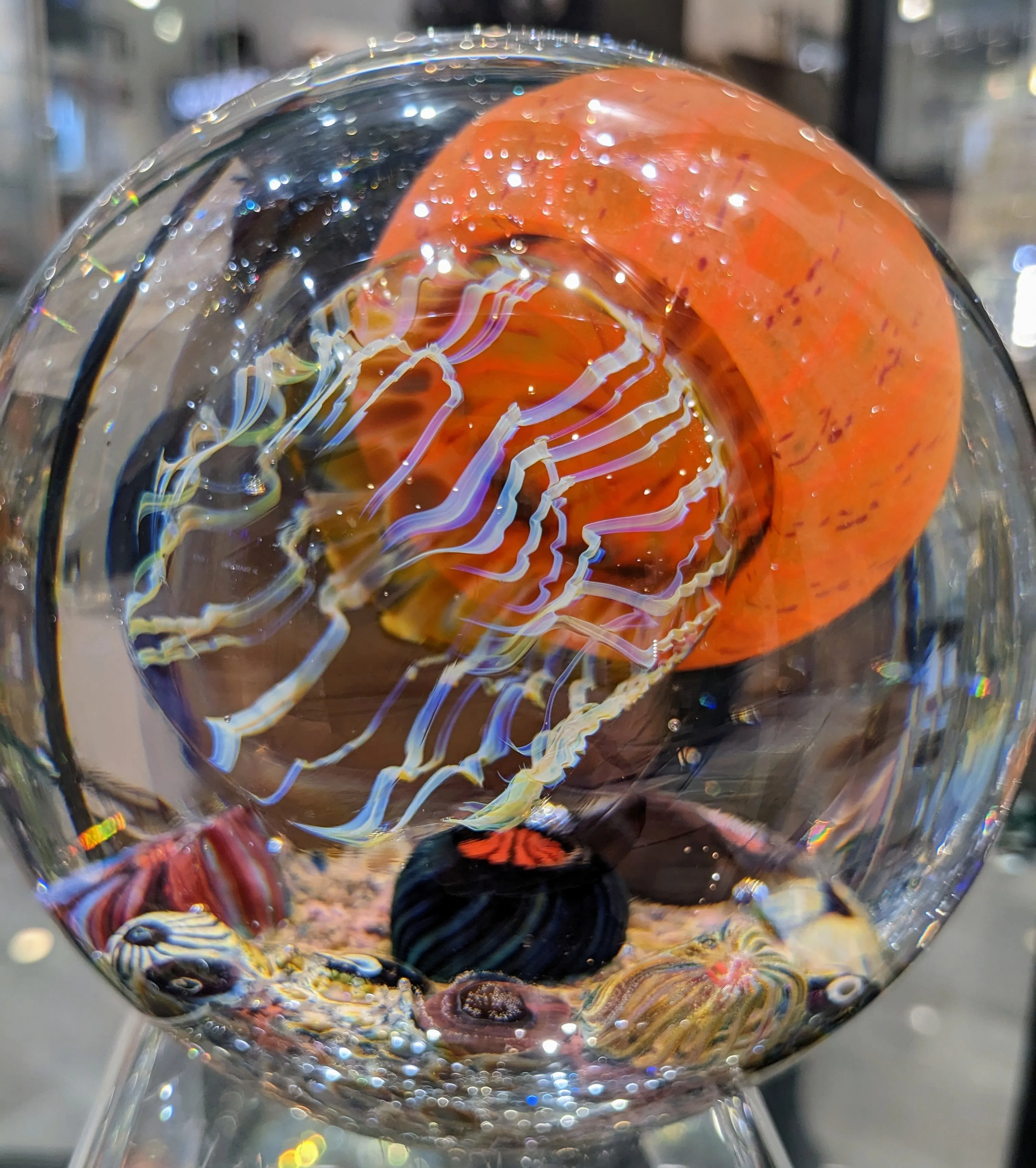 Pacific Coast SIDE SWIMMER SATAVA JELLYFISH 4.5"
