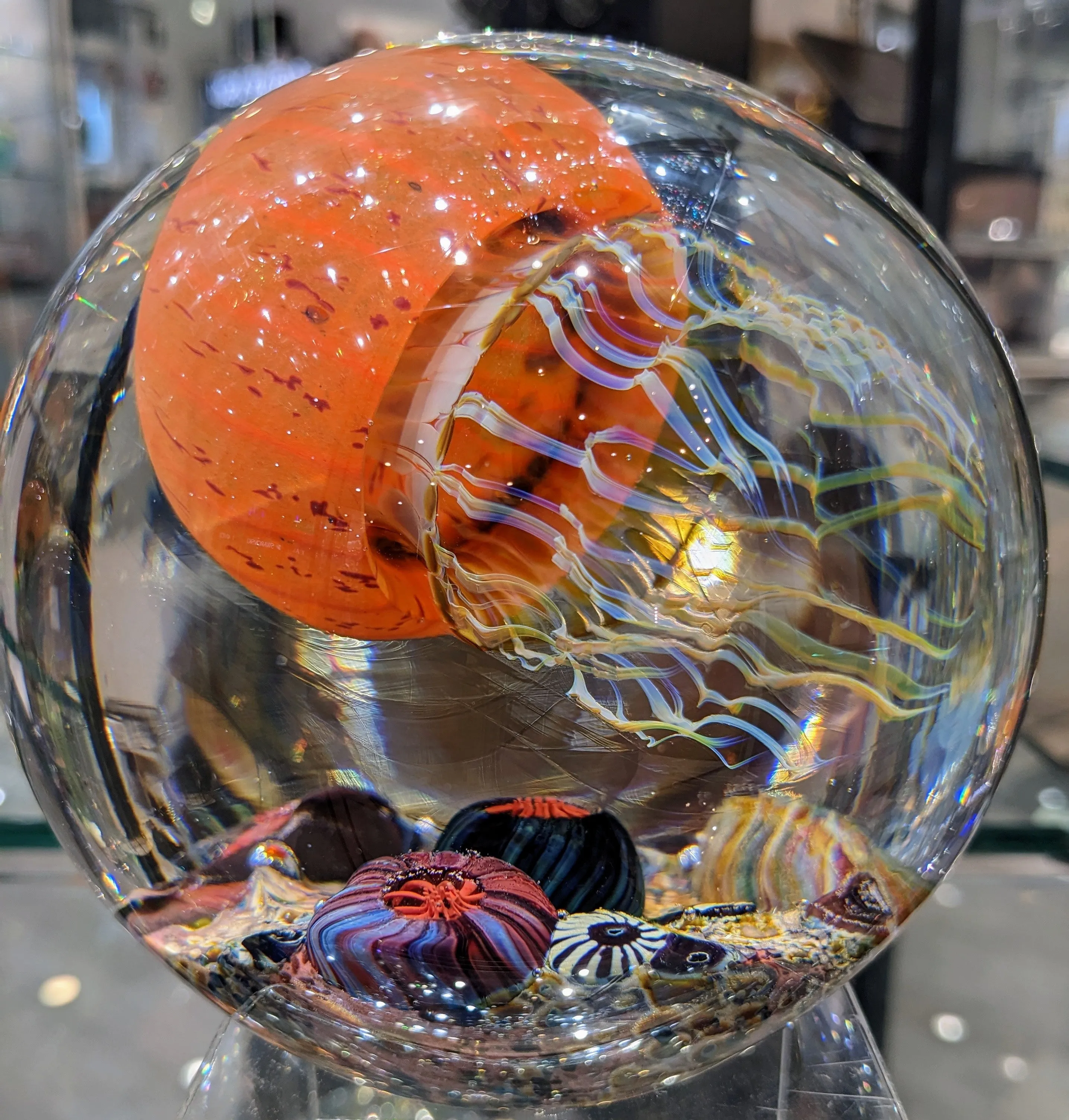 Pacific Coast SIDE SWIMMER SATAVA JELLYFISH 4.5"
