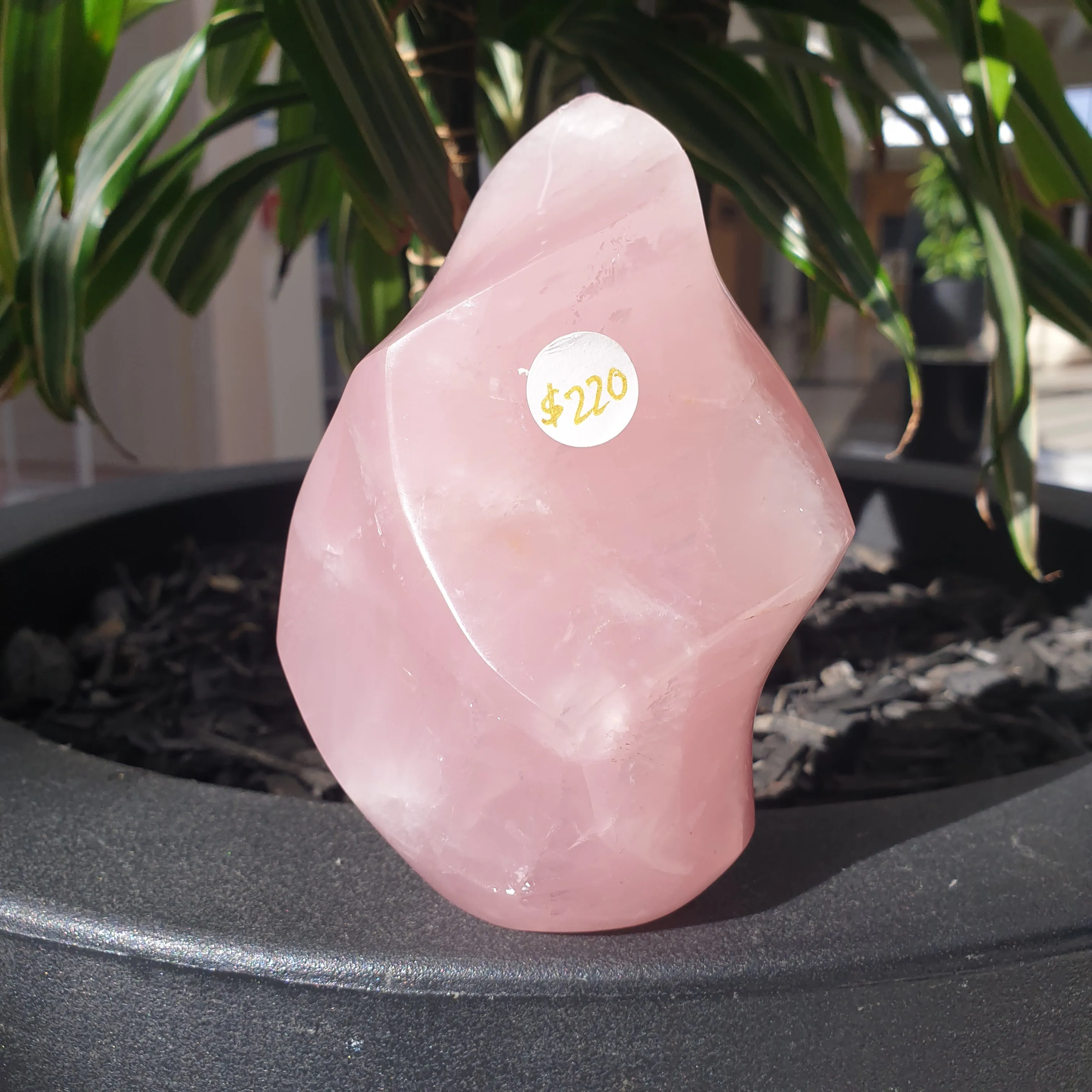 Rose Quartz Flame
