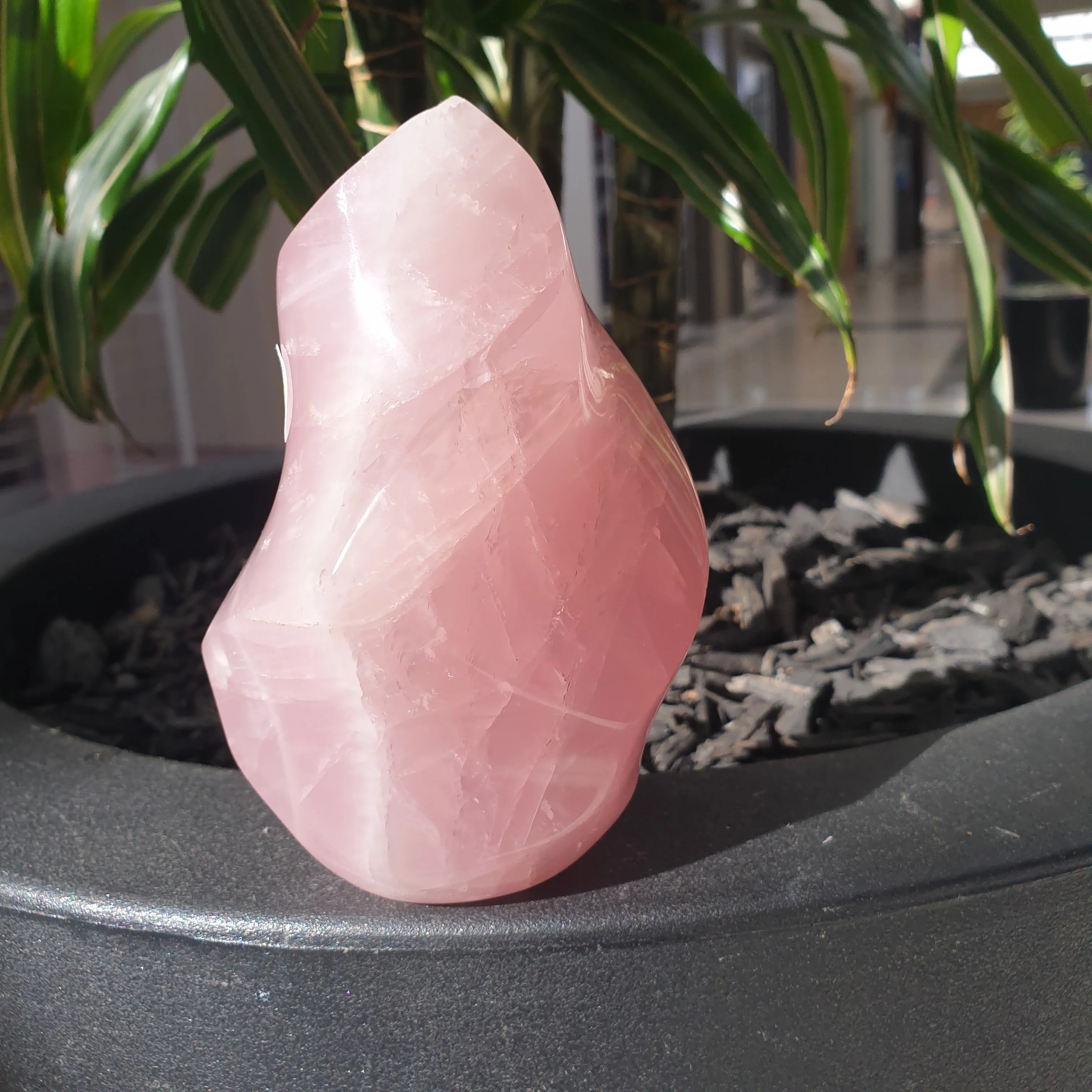 Rose Quartz Flame
