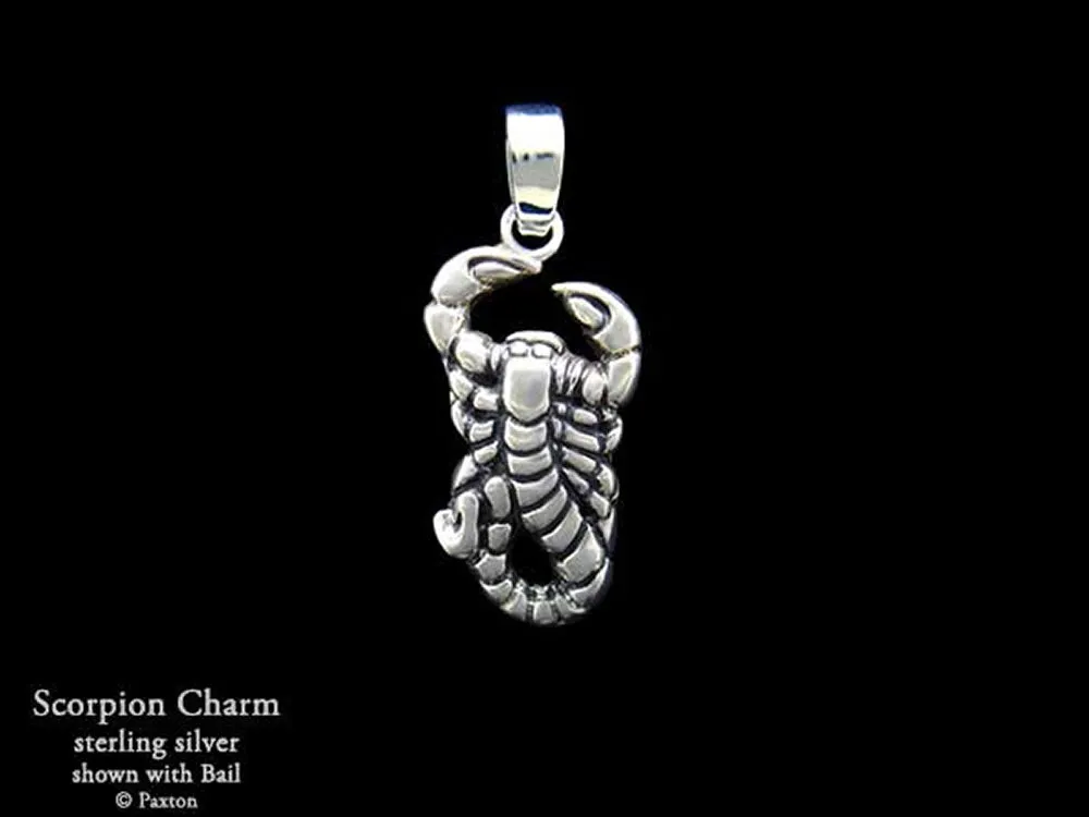 Scorpion Charm Necklace Sterling Silver