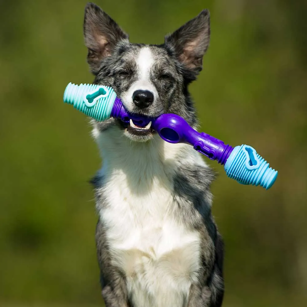 The Dentist - Gentle Dog Toys