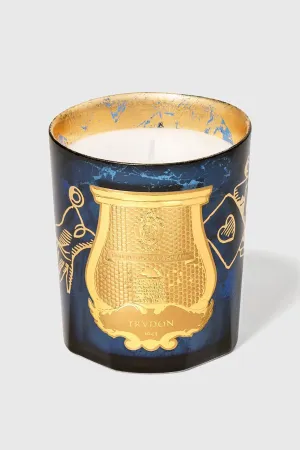 TRUDON | FIR CHRISTMAS TREE CANDLE