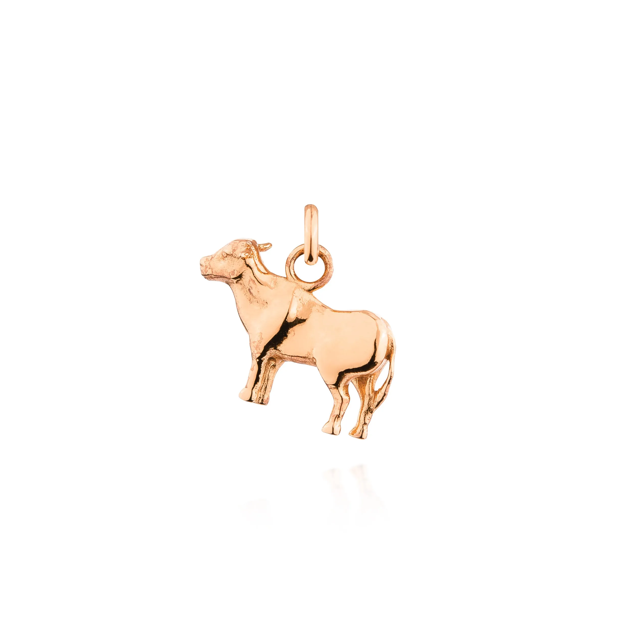 Year of the Ox