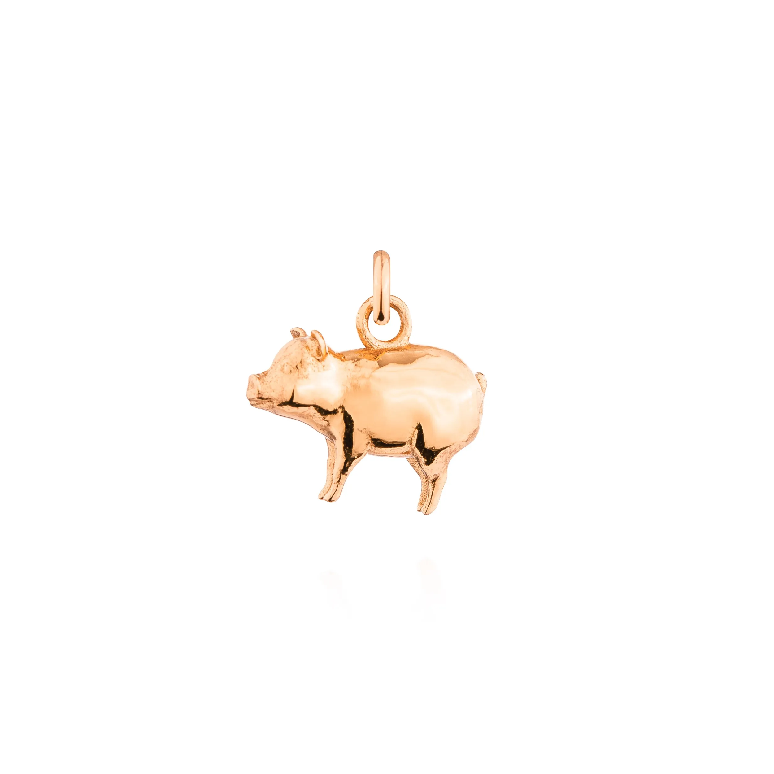 Year of the Pig