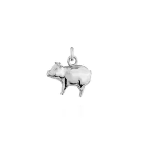 Year of the Pig